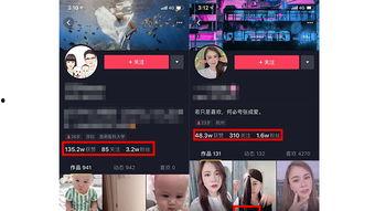 吉安抖音爆料事件真相视频,还原事件始末 第1张 吉安抖音爆料事件真相视频,还原事件始末 第1张